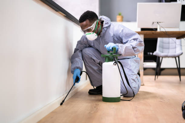 Best Real Estate Pest Inspections  in Arcola, IL